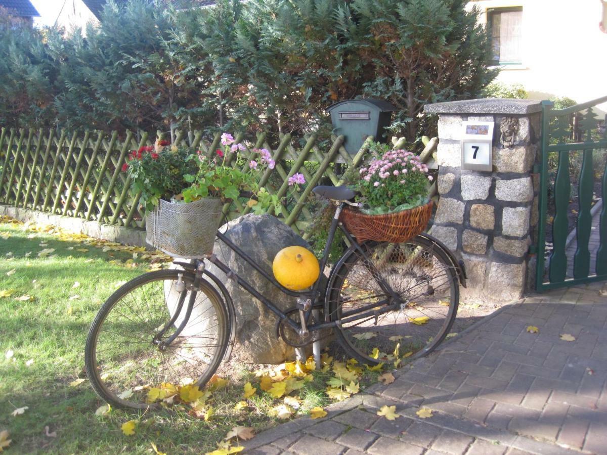 Pension Zum Weissen Hirsch Reitwein 外观 照片