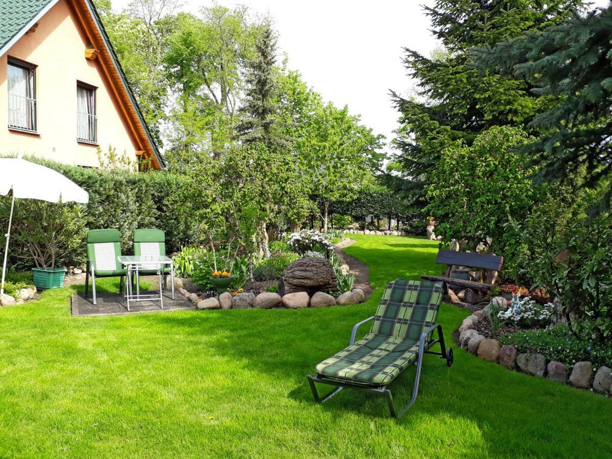 Pension Zum Weissen Hirsch Reitwein 外观 照片