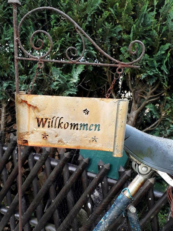 Pension Zum Weissen Hirsch Reitwein 外观 照片