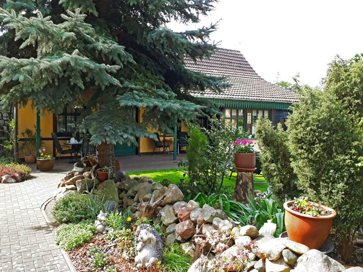 Pension Zum Weissen Hirsch Reitwein 外观 照片