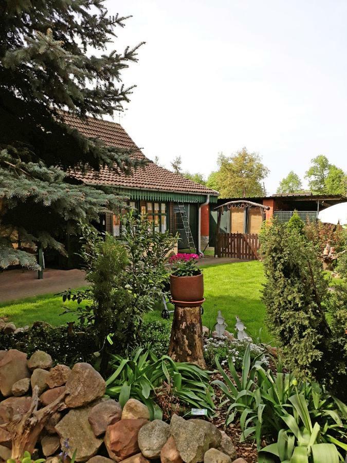 Pension Zum Weissen Hirsch Reitwein 外观 照片
