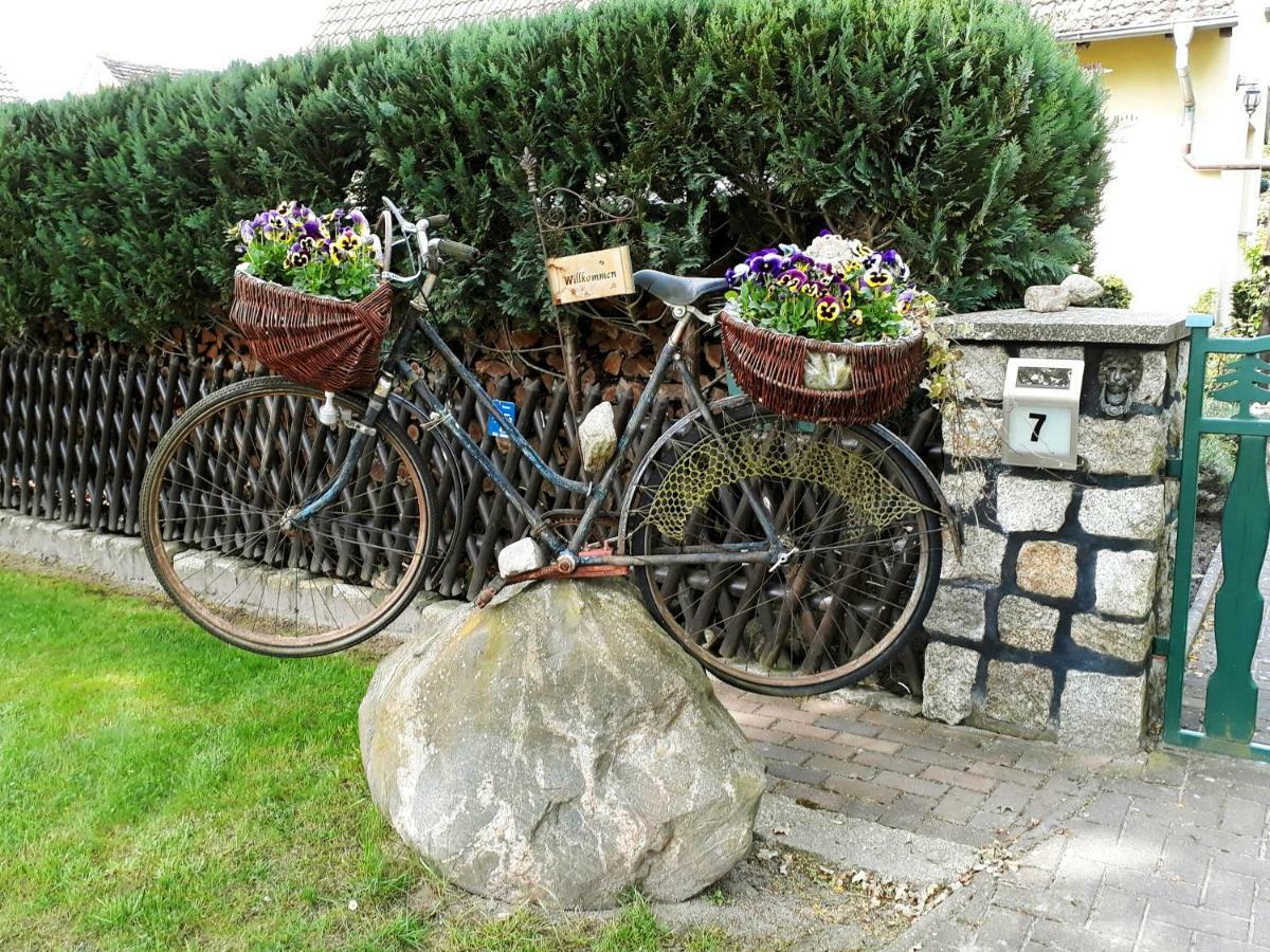 Pension Zum Weissen Hirsch Reitwein 外观 照片