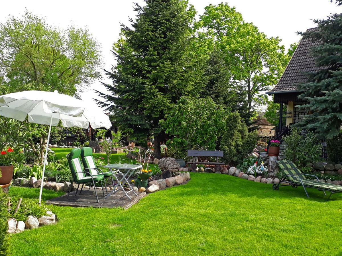 Pension Zum Weissen Hirsch Reitwein 外观 照片